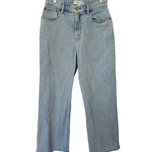 Abercombie & Fitch Curve Love The 90s Relaxed Jean High Rise Light Blue 8/29